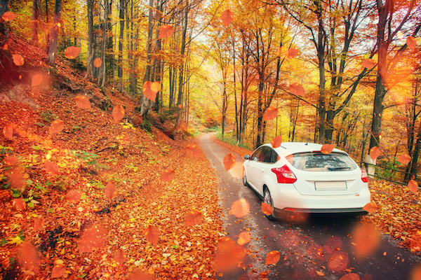 How to Keep Your Car In Good Shape for the Fall